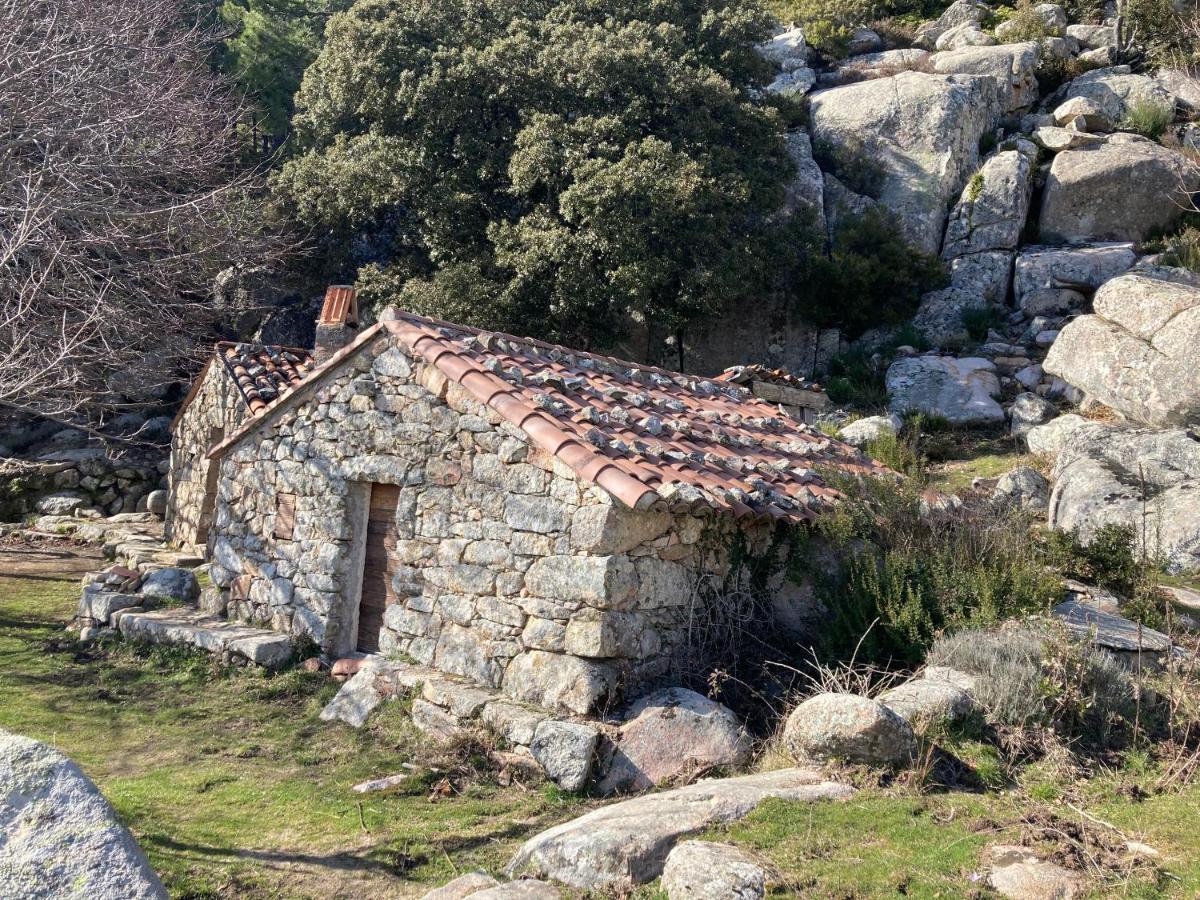 Mini-villa 1 * Porto-Vecchio (Corsica)